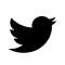 twitter icon